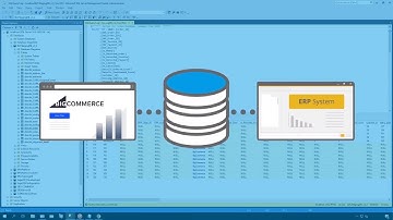 BPA Platform Training - Getting Orders using the BigCommerce API