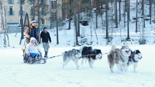 Тимбилдинг на природе. Корпоратив за городом.