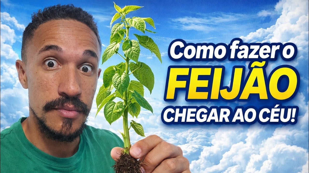 Como Fazer O Feijão Crescer Rápido 