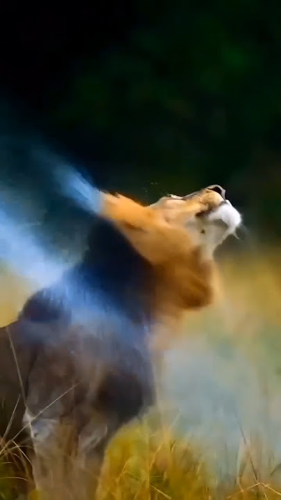 Rixxx video ll #youtubeshorts #viralshorts #ytshorts #2025