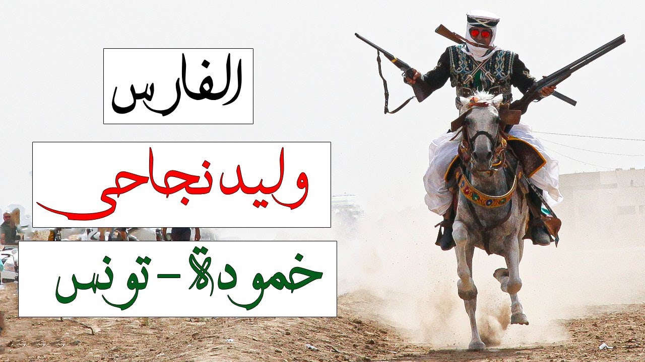 فرسان السماعلة - الفارس وليد نجاحي - خمودة - تونس