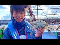 とれなかったです・・・