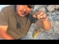 How To Hook Live Bait