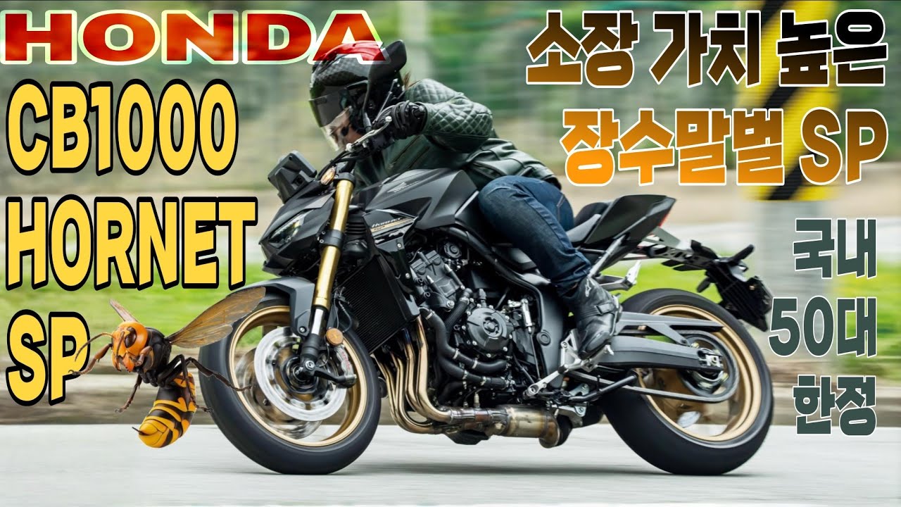 혼다 CB1000 호넷 SP, 소장 가치 높은 국내 50대 한정의 스페셜 장수말벌