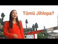 Tümü Jihlopa What Will We Give In Return Zhethsangla Official Music Video Tümü Jihlopa What Will We Give In Return Zhethsangla Official Music Video