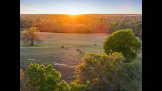 Davidson Creek Ranch | +/- 370 Acre Texas Ranch For Sale in Burleson County