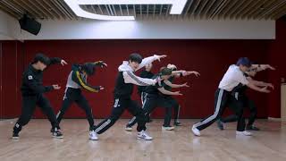 (MIRRORED) Stray Kids \
