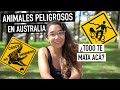 10 animales más PELIGROSO de AUSTRALIA