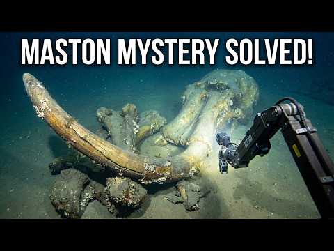 3D Scans Just Solved the Mastodon Kill Site Mystery — The Bones Were Not What We Thought