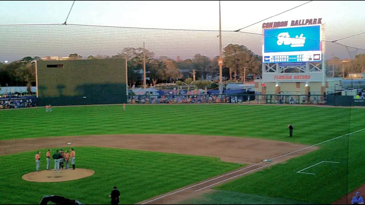 weekend in the swamp