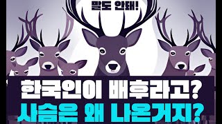 한국이 왜 나와? 사슴의 의미 | 리브 더 월드 비하인드 | 의미와 해석.