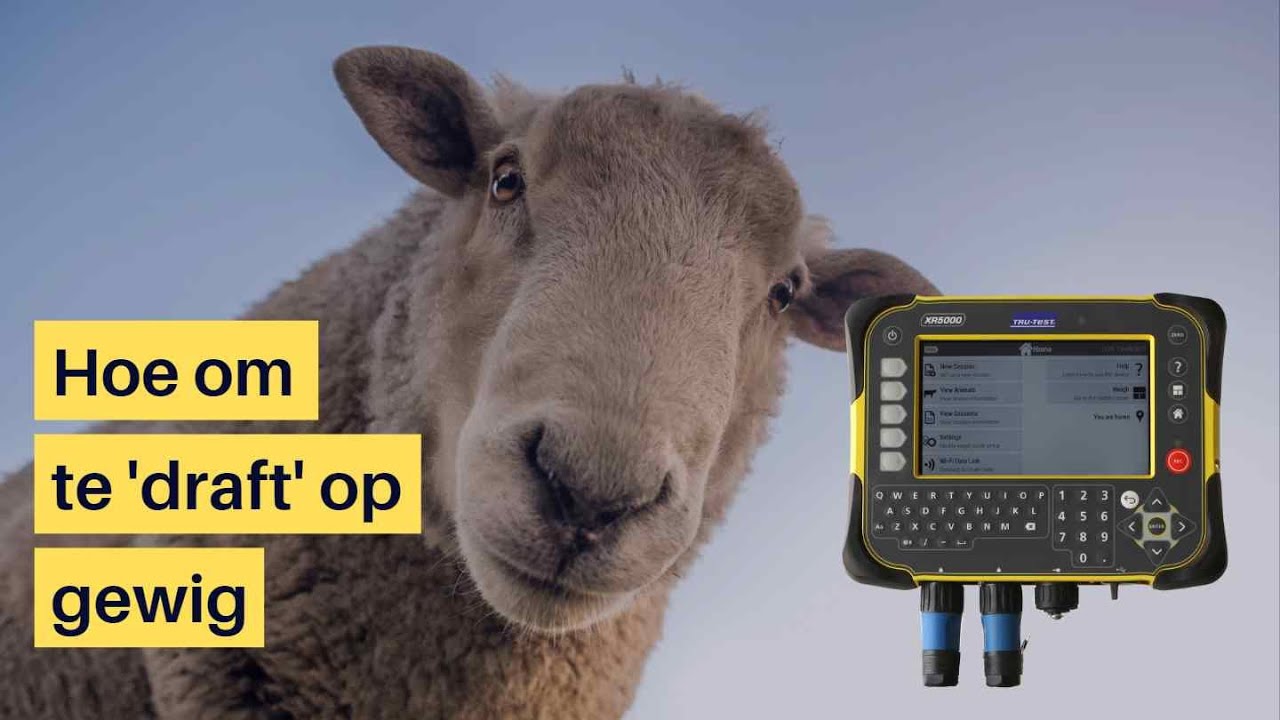 Hoe om te 'draft' op gewig met die XR5000 RFIDExperts Africa YouTube