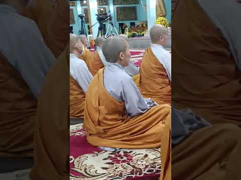 Video thầy thích Bửu Chánh thiền viện Phước Sơn chùa lá... - youtube