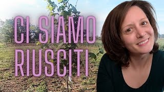 FRUTTETO/ piantiamo gli alberi da frutto/ prima grigliata a casa nuova/ bella giornata