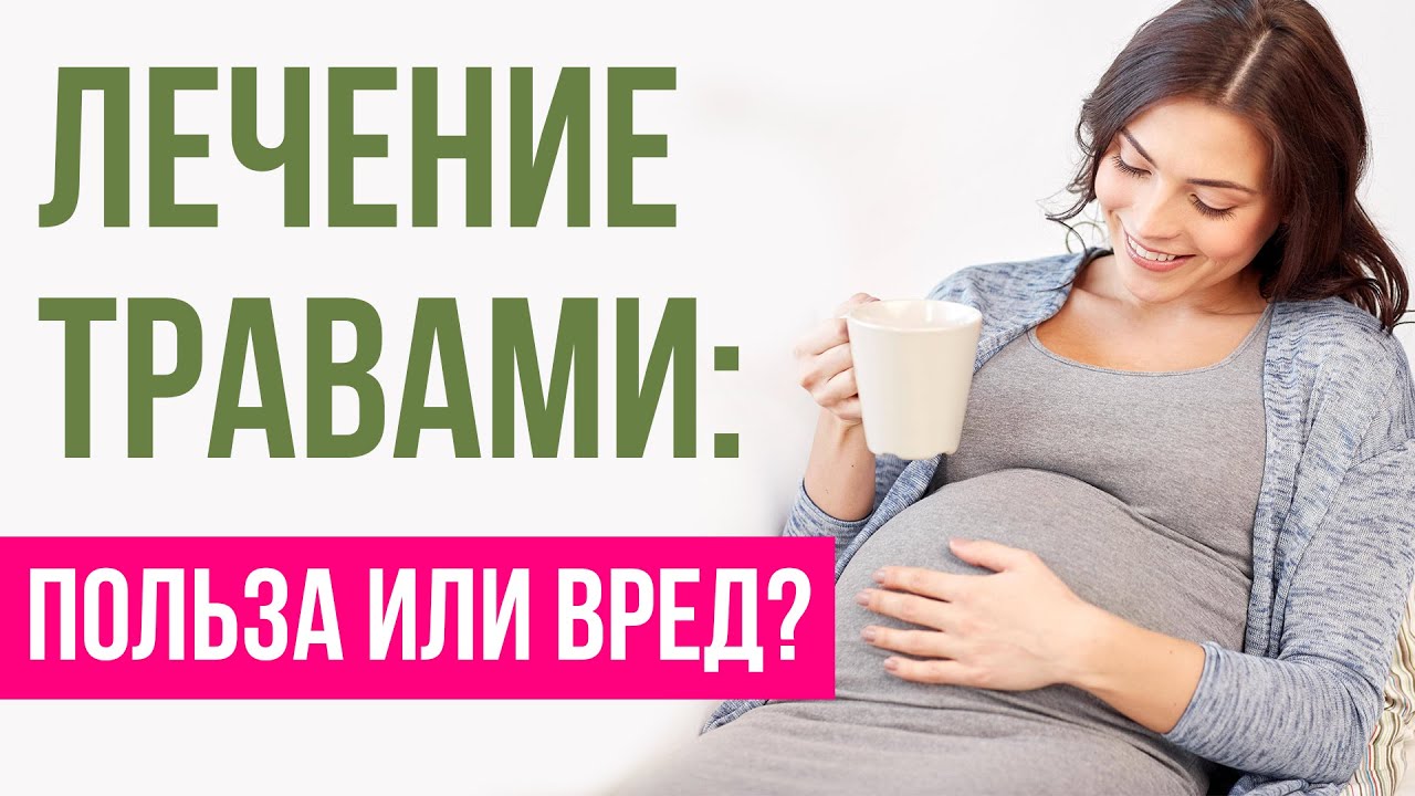 Какие травы нельзя при беременности, а какие можно?
