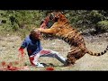 Most extreme deadly animal attacks on humans caught on camera part 4 lifeofbigcat