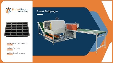 Automatic Stripping Integrated with Press Machine