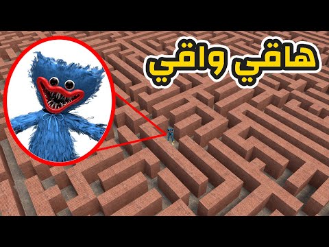 قاريز مود هاقي واقي في المتاهة   
