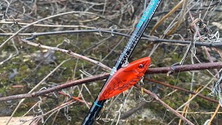 Pescando con Lipless Crankbait 🎣