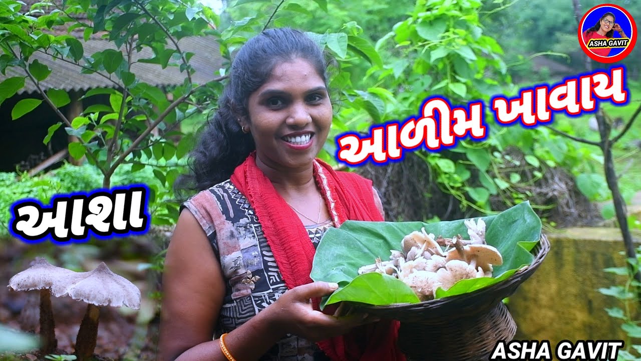 આળીમ ખાવાય આશા ડાંગી  Asha gavit Vlog vlog rt dangi comedy