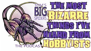 Podcast  The Most Bizarre Things I've Heard from Tarantula Hobbyists