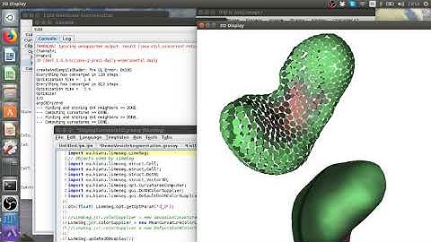 Tutorial LimeSeg 7 - Computing surface curvature with LimeSeg / ImageJ / FIJI