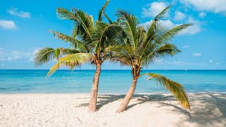 Tropical Summer Beach Bossa Nova Jazz Music 2024