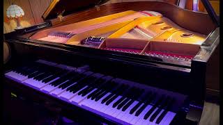 George Gershwin plays “Rhapsody in Blue” - Duo-Art - Wurlitzer C-153 PianoDisc PDS-128+ Player Piano