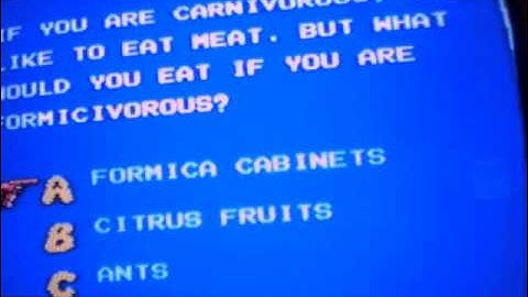 double dare nes game 2