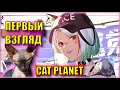 МОЕЙ КОШЕЧКЕ БАКЛАЖАН 4 ГОДА! В ЧЕСТЬ ЭТОГО - СТРИМ ПО КОШКОТЯН! | Первый Взгляд на Cat Planet (猫之城)