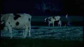 Cow Tipping