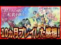 【杖と剣の伝説】実況 10か月プレイした成果と感想について! 動画の最後にちょろっとお知らせアリ!【杖剣】