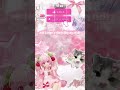 enjoy#rant#starry id#fypage#@Starry-s1s