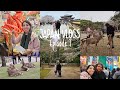Japan Vlogs: Episode 7 | Kyoto to Nara Park, Todai-ji Temple, & Dotonbori