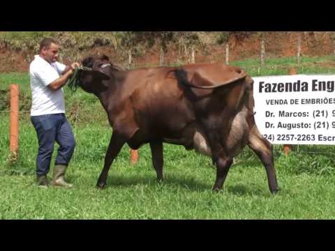 LOTE 2   657