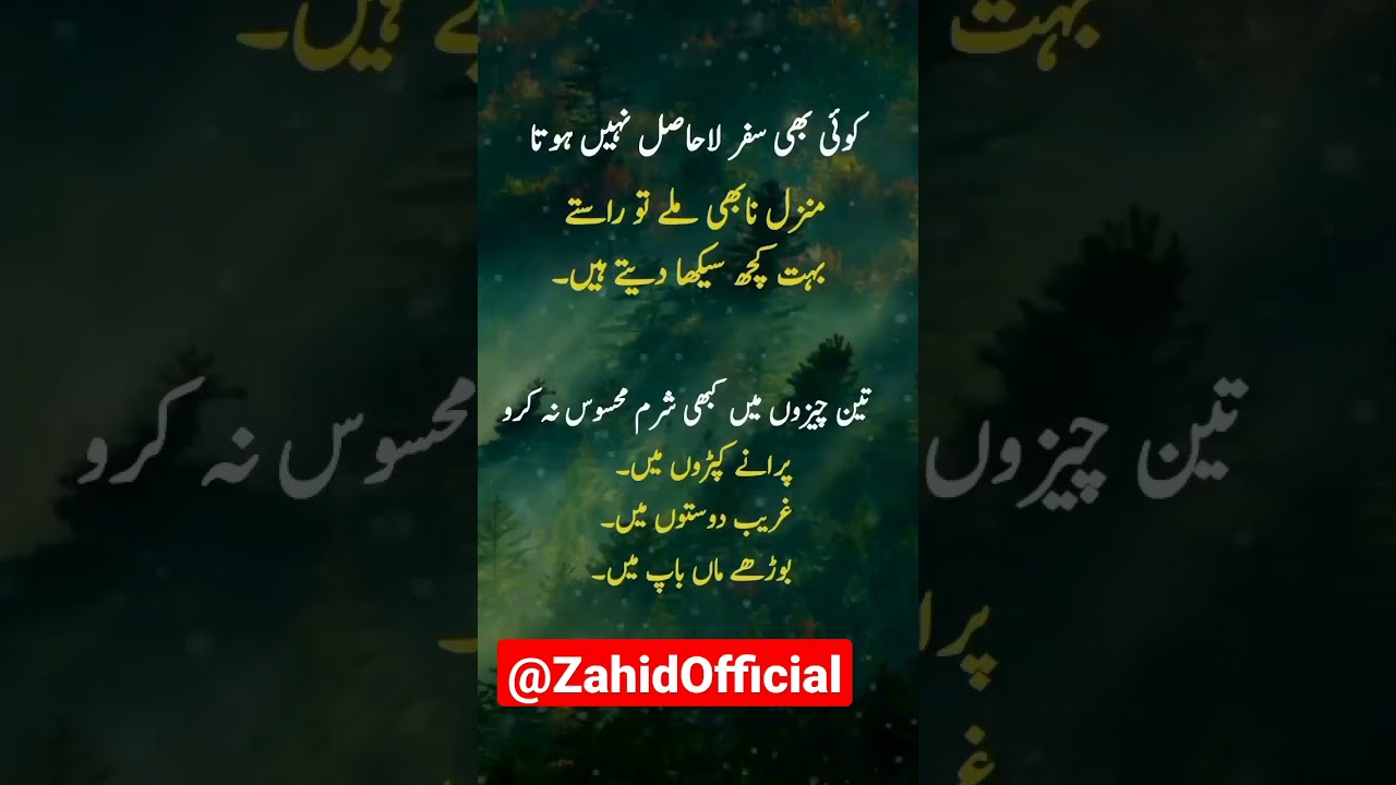 lahasil?best urdu poetry status.heart touching poetry status?#shorts #shortsfeed #touqeerkhan19