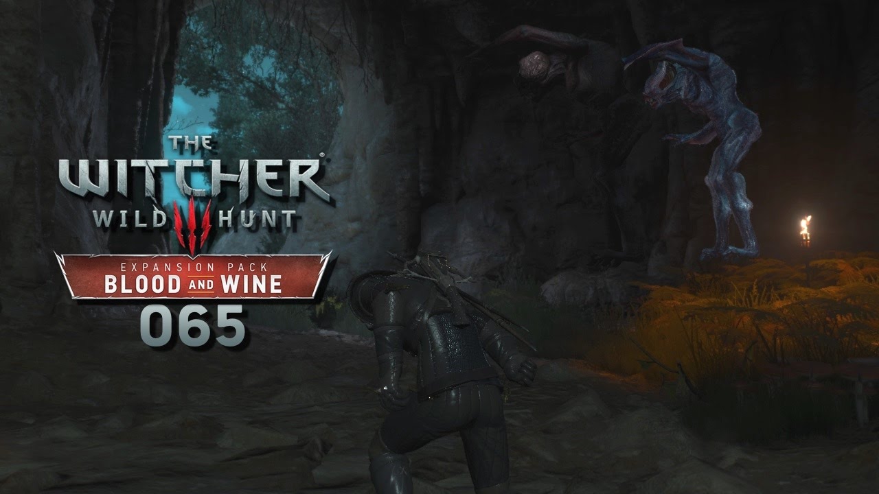 Witcher 3 Großmeister