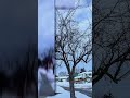 Everyday scenes, winter edition ❄️🥶If you like it, please subscribe 🤍 #wintercalm #snow