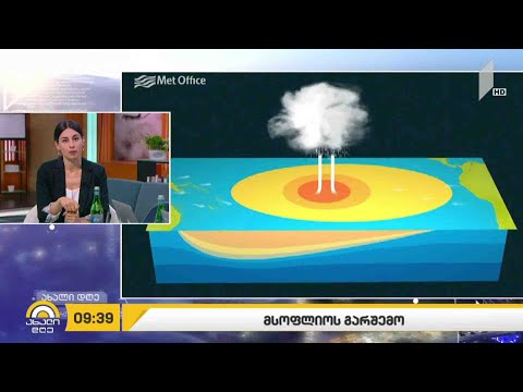 #ახალიდღე  მსოფლიოს გარშემო - რუბრიკა #ეკოლოგია