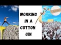 WHAT IT´S LIKE TO WORK IN A COTTON GIN?!