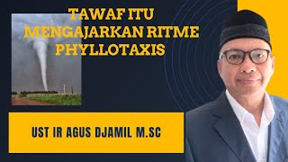 Tawaf itu mirip irama PHYLLOTAXIS? Apa itu? | Ir Agus Djamil M.Sc
