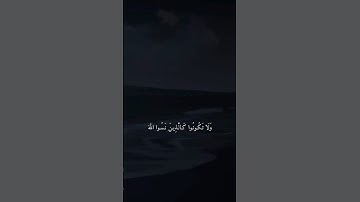 ﴿ ولا تكُونوا كألذّين نَسوا الله فأنساهم أنفسَهم ﴾ سوره الحشر، شريف مصطفى #قرآن #ارح_قلبك #قران_كريم