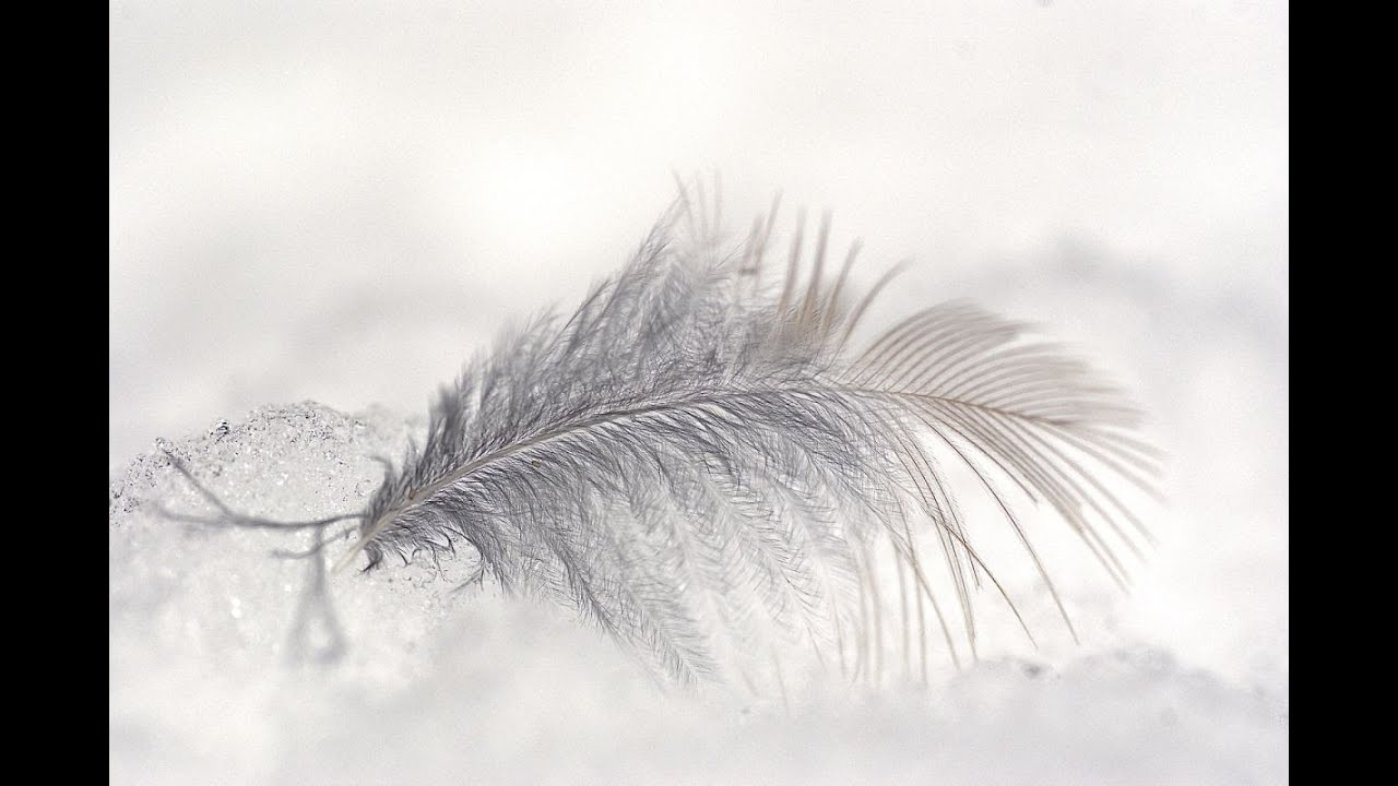 Menopausa: le cause del dolore osteo-muscolare e articolare