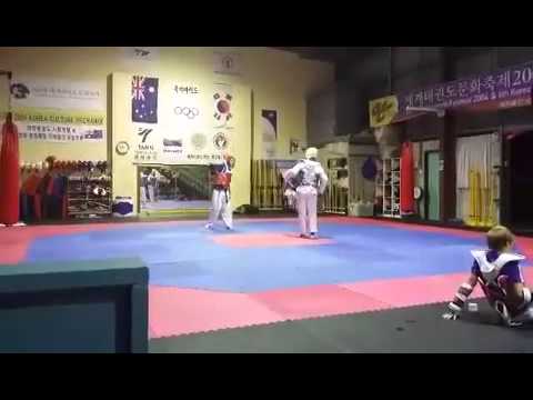 Play Fighting (TKD)