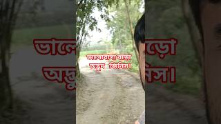 ভালোবাসা বড় অদ্ভুত জিনিস 17 June 2026#hotstar#disneyplushotstar#hotstarbangla#funny