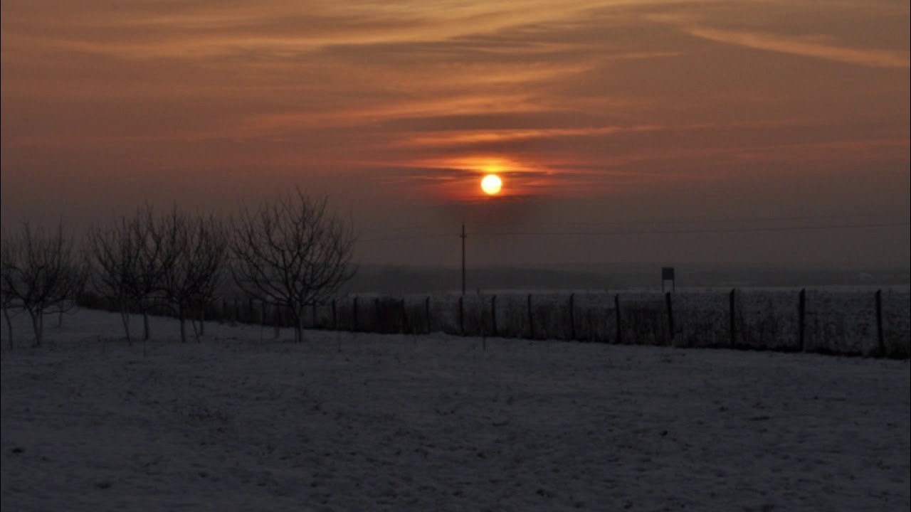 2 8birthday J ウィリアムズ シンドラーのリスト メイン テーマ ナクソス クラシック キュレーション 365日 Calendar Classic Youtube