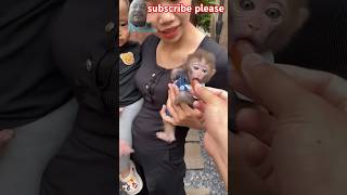 #monkey #animals #monkeybaby #cutebaby #animal #monkeys #asmr #babycute #mukbang #shorts #memes