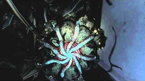 SOMA - Theta Entrance: Explore Lab: Catherine