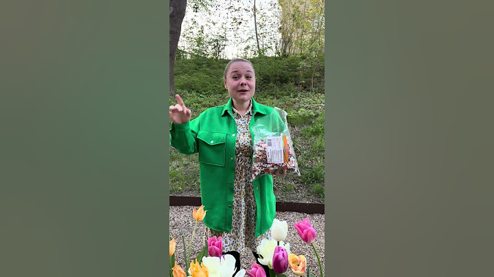 Skal du kaste med karameller ligesom OnkelFrede?🍬🌈 🎉📚 Gør dig klar til sidste skoledag! 🎓🥳 🎊 Vi har