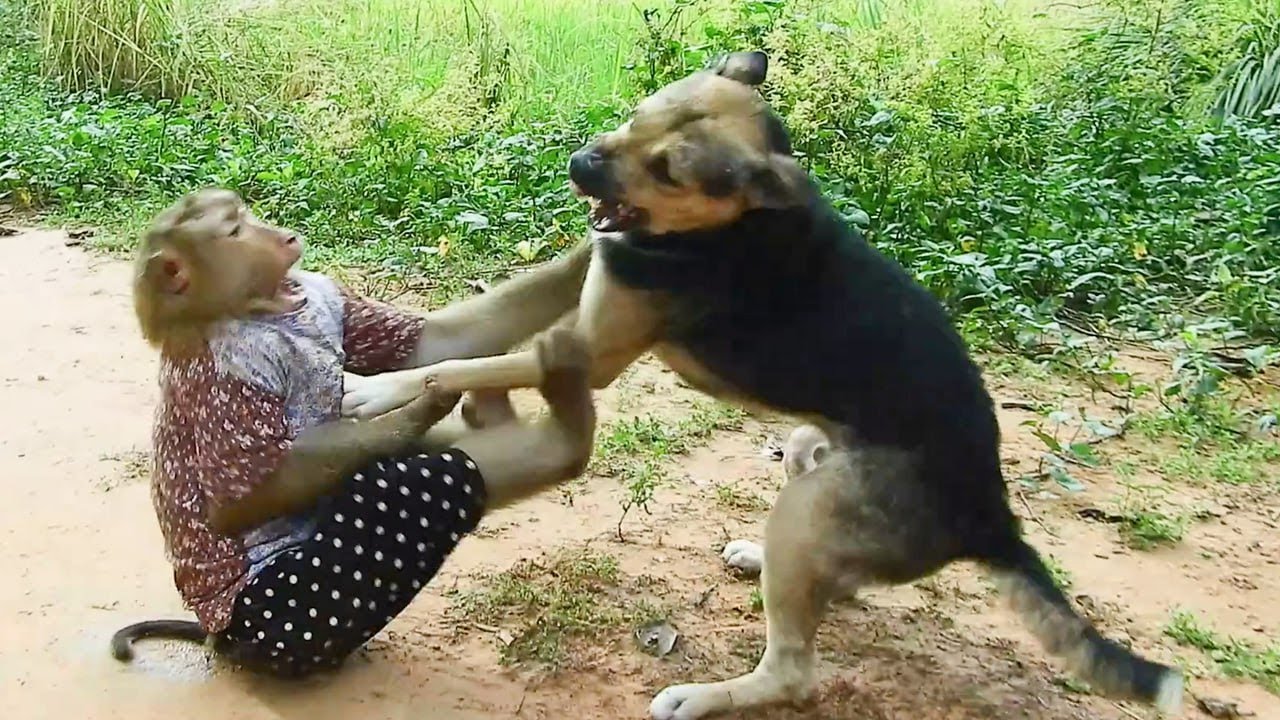 SokYaa Smart & Phao's EPIC Play Wrestling Match FUNNIEST Fight EVER!